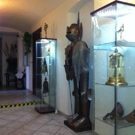 Hotel Zum Goldenen Loewen 3*