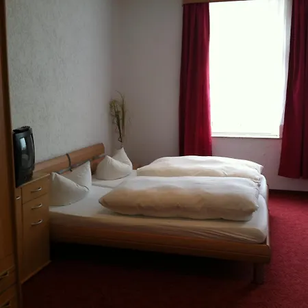 Zum Goldenen Loewen Hotel 3*