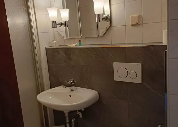 Zum Goldenen Loewen Hotell