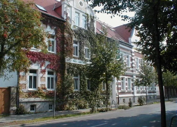 Zum Goldenen Loewen Merseburg