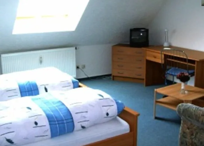 Zum Goldenen Loewen Hotell